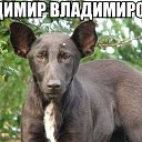 ���� �������� (�� �������), ������, 52 ���� - ��������� 22 �������� 2013 � ������ ������ ��������