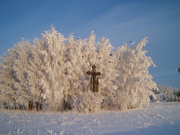  :    ... - Olga, 
