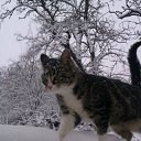 �� ������� � ���� ��� ���� �� �����: ����, ������� �����,�������� � ����! �� ������� ����� ��� ������������