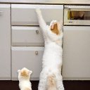  , , 71  -  5  2014     ...