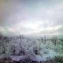  Andrew,  -  28  2014   ..