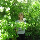 ���� ����, �������� - ��������� 25 ������� 2014 � ������ ���� ����������