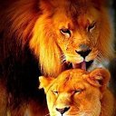 ���� �����, �����-��������� - ��������� 3 �������� 2013 � ������ ���� ����������