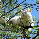  , , 71  -  4  2014   ,  ...!