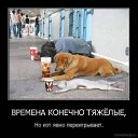 ���� ������ ���������, ��������, 49 ��� - ��������� 7 ������� 2014 � ������ ���� ����������