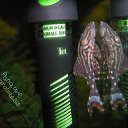 ���� �������, ������, 52 ���� - ��������� 6 ������� 2013 � ������ ���� ����������