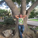 ���� �������, ��������� - ��������� 7 ������� 2013 � ������ ���� ����������