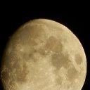 ���� ���� �� ������� ���� ����������