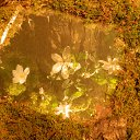 ���� ..����_,����.tatiana, ������� - ��������� 3 ����� 2014 � ������ �Flower show 1 mart.2014.�