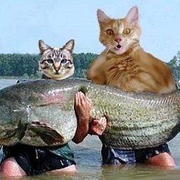 ���� �, ��� - ��������� 18 ������� 2013