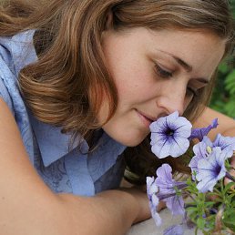 ������42�, ������, 41 ���