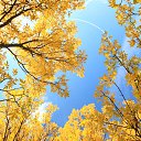 ���� ������ 72, ������������, 53 ���� - ��������� 30 ������� 2013 � ������ ������� �������