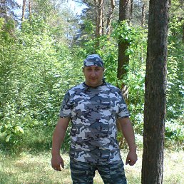 �������, ������, 46 ���