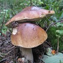  ir@ge))) ))), , 47  -  8  2013   Ȼ