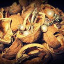 ���� Nata Li Legata, ��������� - ��������� 8 ������� 2013 � ������ ������.�