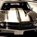 ���� �����, ������, 36 ��� - ��������� 9 ������ 2013 � ������ ������ ��������