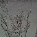 ���� ���������, ������� �����, 43 ���� - ��������� 23 ������� 2014 � ������ �������