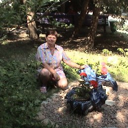 ������� �������������������, ��������, 67 ���