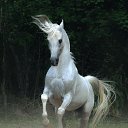 ���� Bulat, ������� - ��������� 18 ������� 2013 � ������ ���� ����������