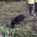 �� ����� �� �� ������� �������������? )))) �� ������� ���� ����������