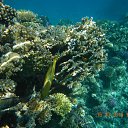 ���� ���������, ����������, 42 ���� - ��������� 28 ������� 2013 � ������ ������ 2013�