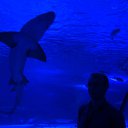 Фото Виктор, Невинномысск, 48 лет - добавлено 13 октября 2013