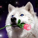 ���� ��������, ������, 56 ��� - ��������� 11 ������ 2014 � ������ ���� ����������