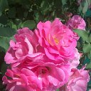 ���� �������, ������, 52 ���� - ��������� 27 ������� 2013 � ������ ���� ����������