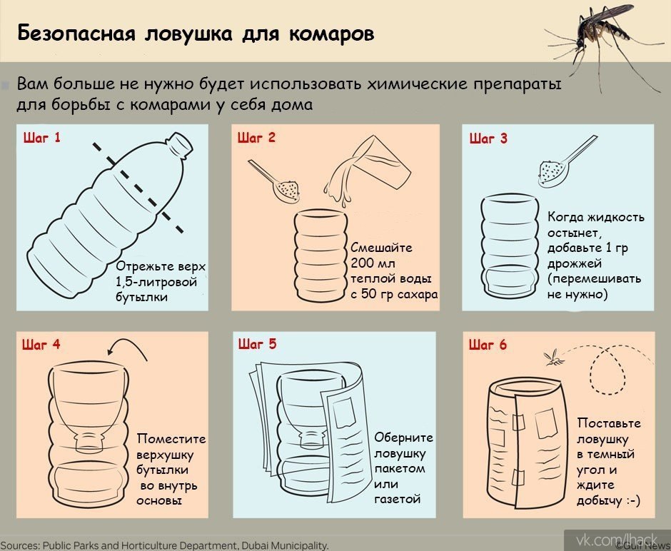 Ловушка для домашних мошек на кухне в домашних условиях