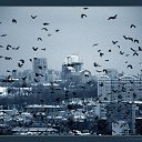 ���� ����, �����-���������, 57 ��� - ��������� 18 ���� 2014 � ������ ���� ����������