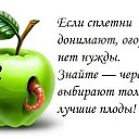  ,  -  15  2014    