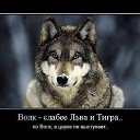 ����� ���� ������ �� ������� ���� ����������