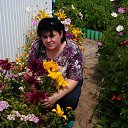 �������� �������� �� ������� ���� ����������