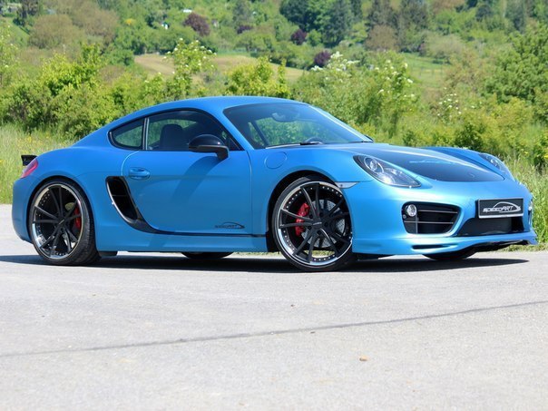 Porsche Cayman S SpeedART SP81-CR 360 (981C), 2013.  : 300 /   100 ...