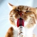��� ���� ���� ��� ��� ��� �������. � �� ������ �� ���� � � ������ �� ������� ���� ����������
