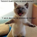 ���� ����������, ���� - ��������� 7 ������� 2014 � ������ ���� ����������