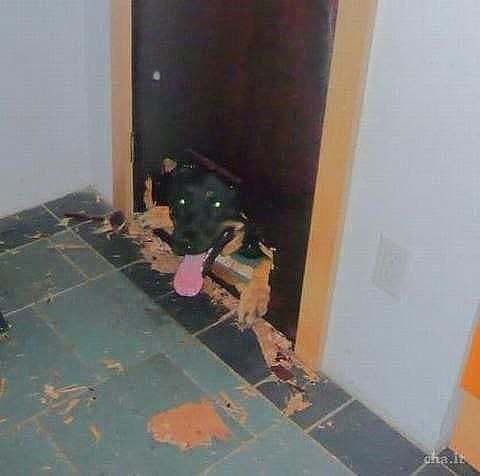 " ,    ...")))))))