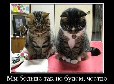 �������������� �� ���� �������� <a href=