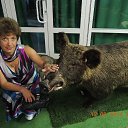  ,  -  15  2014    &quot;&quot; 2014