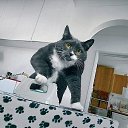 ���� �**, �������, 60 ��� - ��������� 27 ���� 2014 � ������ ���������