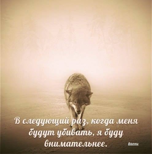 ���� - 11 ���� 2014 � 20:35