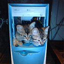 ���� �����, �������, 62 ���� - ��������� 17 ���� 2014 � ������ �������� ��������