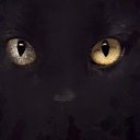 ���� �����, ������-��-����, 35 ��� - ��������� 22 ����� 2014 � ������ ���� ����������