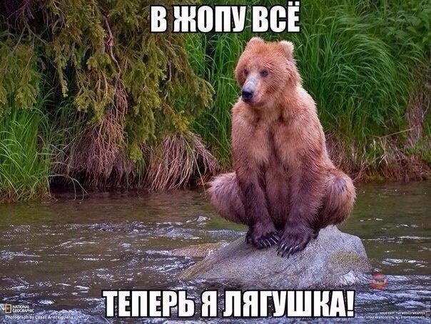    :D - 15  2014  05:06