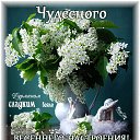 ���� �������, ������������ - ��������� 30 ����� 2014 � ������ ������ ��������