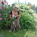 ���� �������, ������ ��������, 71 ��� - ��������� 7 ������� 2014 � ������ ���� ����������