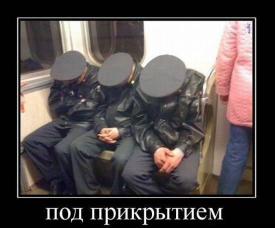 No Name Alex® - 12  2014  10:27