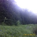  , , 44  -  6  2014    