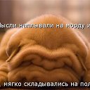  ,  -  6  2014   -  ))
