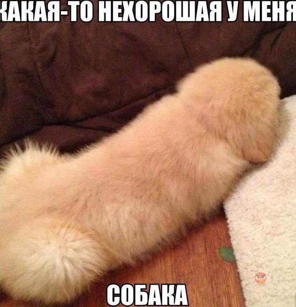 �������������� � ������ � �������! =))) <a href=